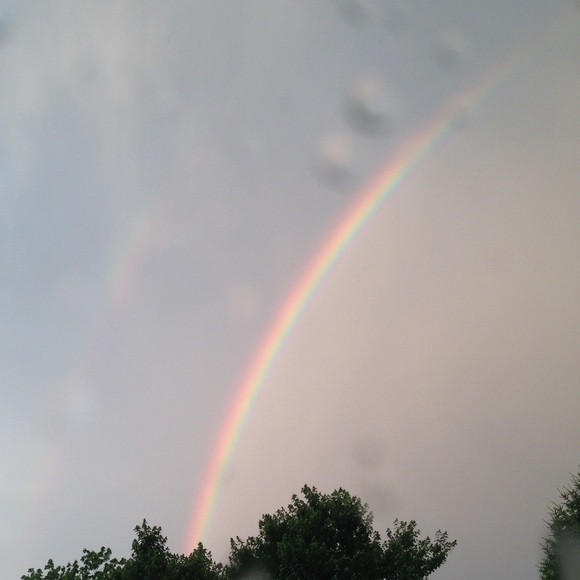 Meet your Posher, Maisie - Picture 1 of 1